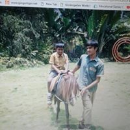 B P Srivastav