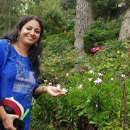 Swapna P.K.