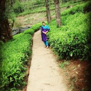 Karpagavalli T  R