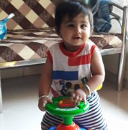 Nehal S Shah
