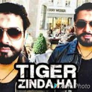 haroon 