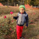 Anees Akhtar