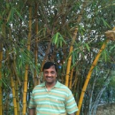 Krishnamohan M C