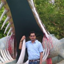 Ajay Paliwal