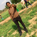 Arvind jangir