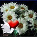 Pratap Chavan