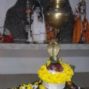 Sharad Pandey Bhugwant