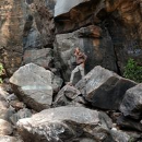 Rajani Nirmal