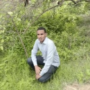 Abdalla 