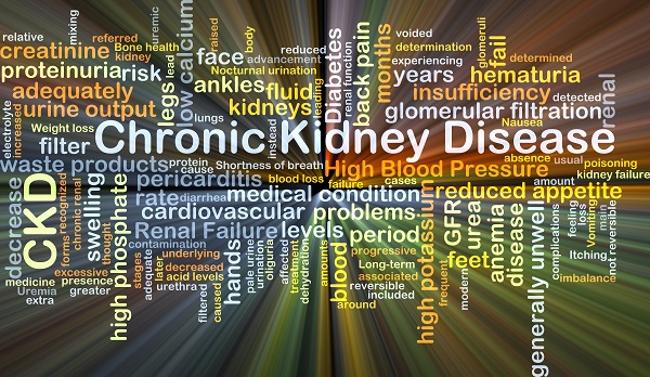 Chronic Kidney Disease In India Challenges