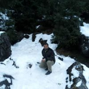 Soni 