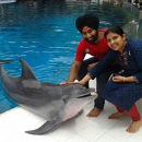 Karanpreet Bhutani