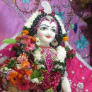 Yogesh Ashok Dhole
