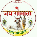 Sheshav Somani