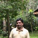 C.Vinoth Kumar