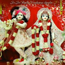 A.V. Ramesh Babu