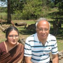 Krishna Moorthy