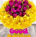 Viswas Chhapola