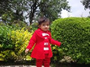 Tauqueer Ahmed