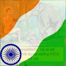 Pravin Bhosale