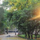 Jyothi Avula