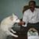 G.V. Krishna