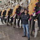 M Yadav