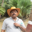 Anil Kumar