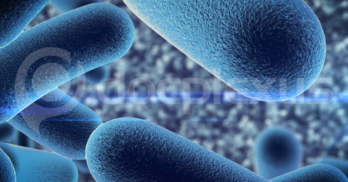 Gut Microbes Can Control And Prevent Hypertension