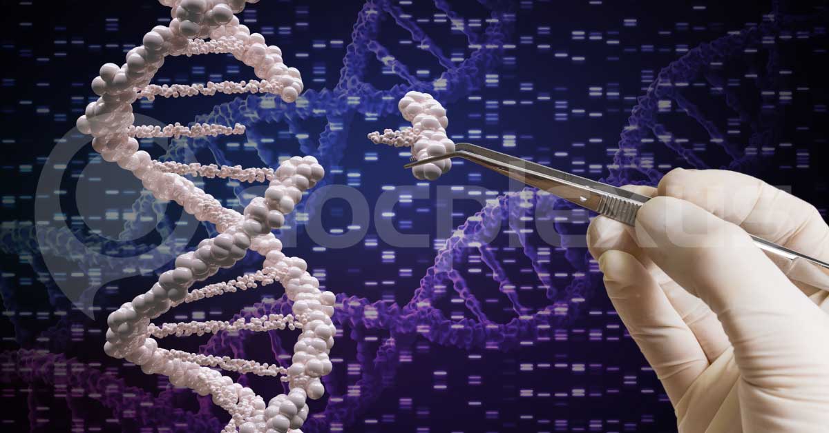 Gene Identified For Long And Healthy Life