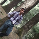 Ayub Shaikh