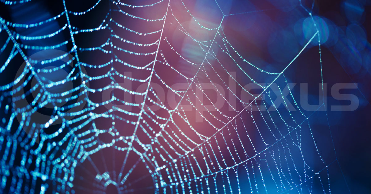 Spider Web Inspired Hearing Aid