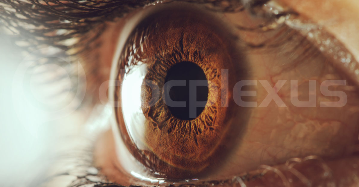 Organisms Invading An Intact Cornea A Brief Revew
