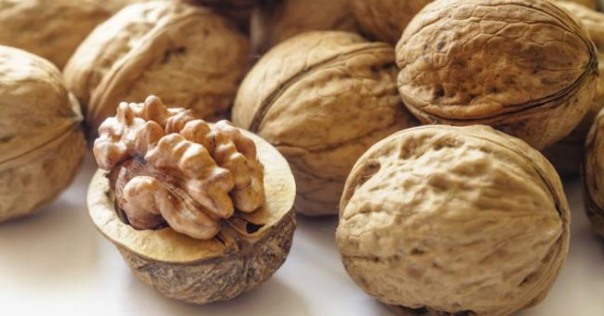 Eating Walnuts May Help Ward Off Several Diseases: Experts