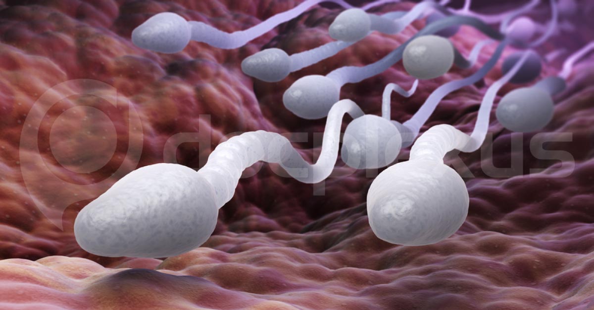 Air Pollution Can Make Sperm Small And Bad Shaped Besides Skin Cardio Respiratory Diseases