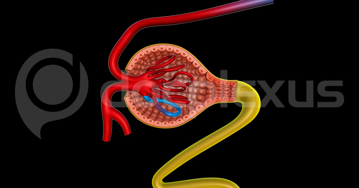 Suggest The Therapeutic Duration