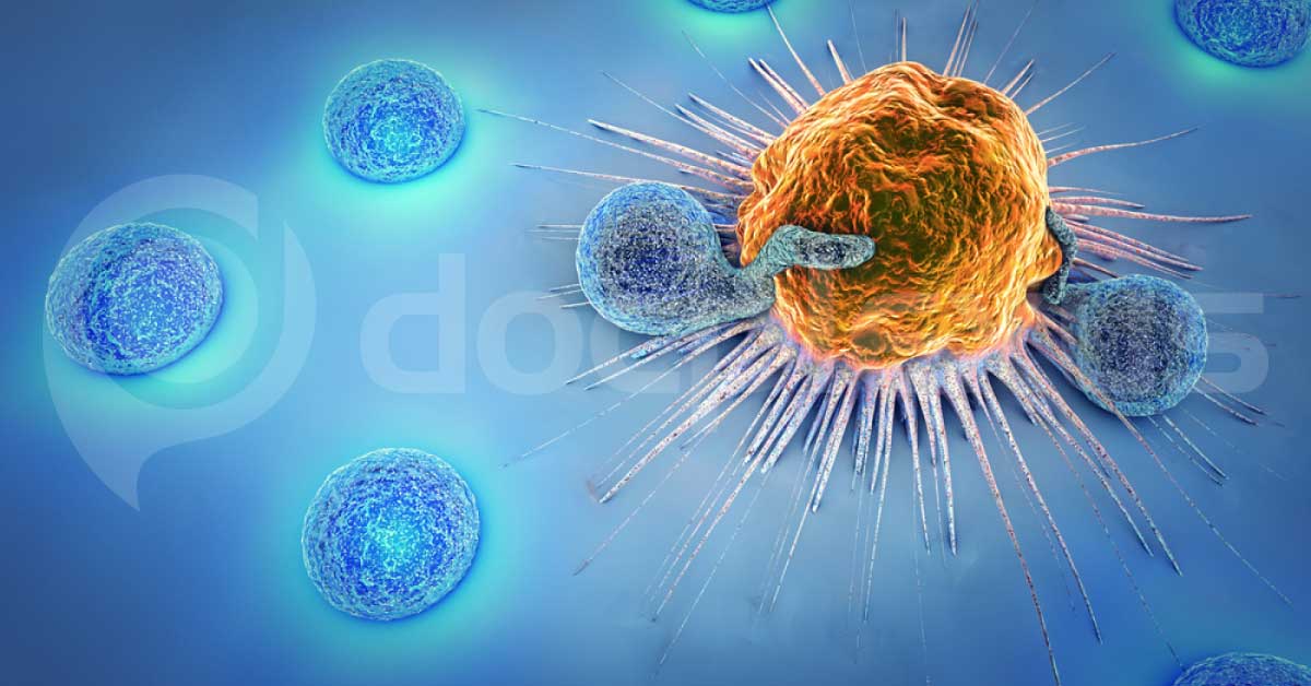 Immune Cells Developed From Cancer Patients Will Cure Cancer