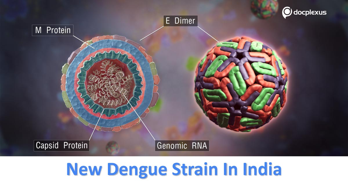 New Dengue Strain Identified By Scientists In Pune