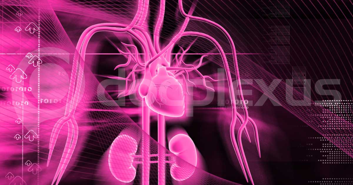 Better Renal Outcomes In Anticoagulated Patients