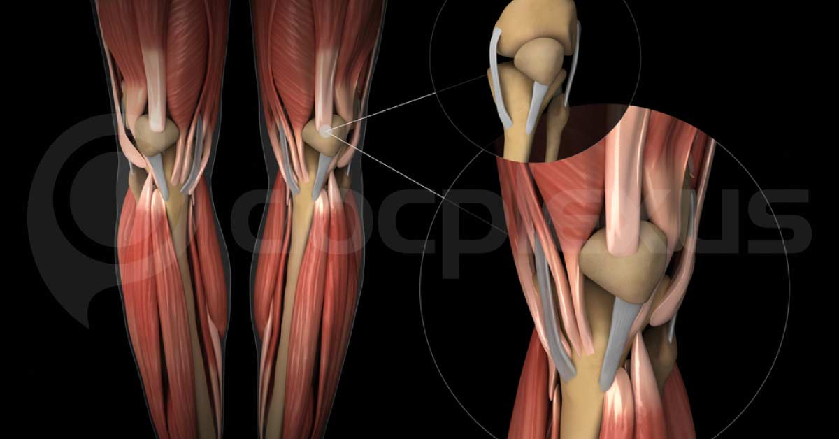 Effects Of Aging On Tendons?