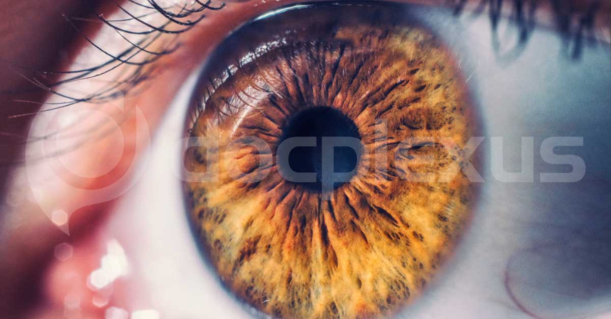 Very Brief Review Of Retinal Terminologies