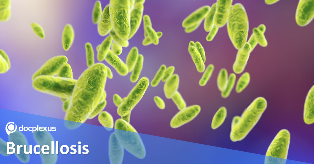 Brucellosis, Medical Management