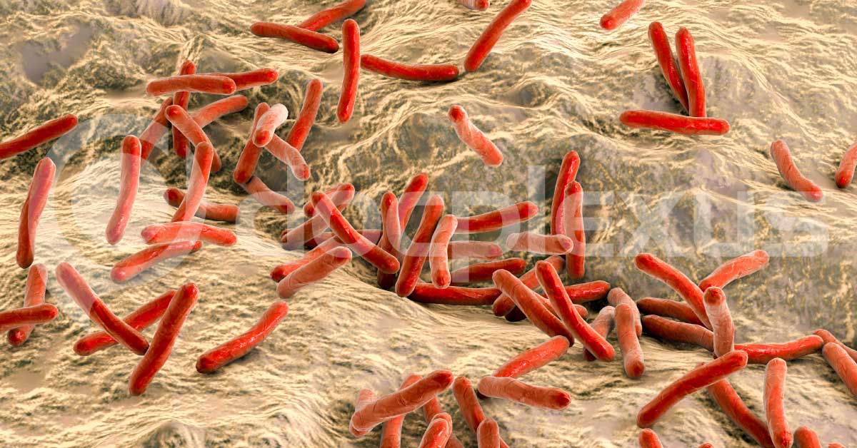 Potent Medications To Control Mycobacterium Infections