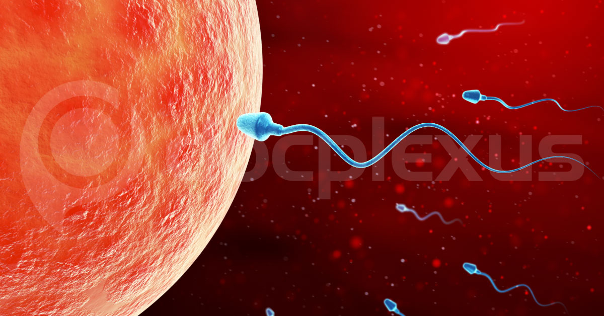 Sperms Will Be Now Utilised To Deliver Drugs For Treating Female Diseases