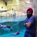Tezbir Singh