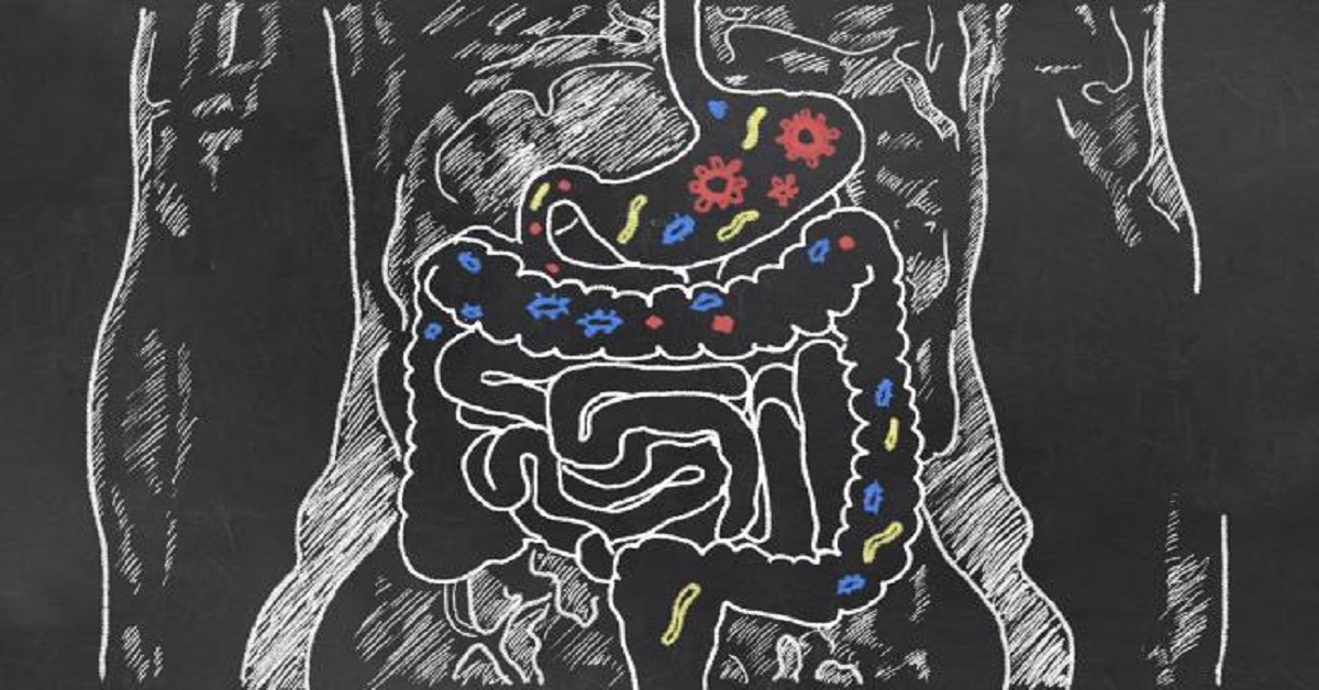 Most Common Organism Involved In Peritonitis