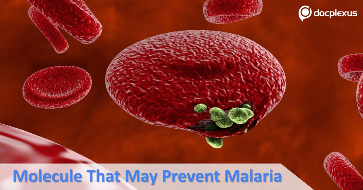 Indian Researchers Found A Molecule That Can Prevent Malaria