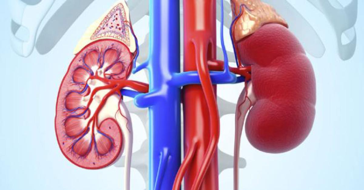Kidney Disease May Up Risk Of Diabetes: Study