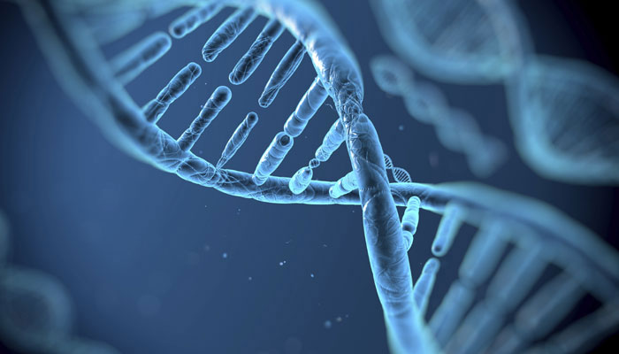 New Genes Linked To Parents' Lifespan, May Help To Prolong Human Life