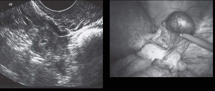 Diagnose The Condition from The Images